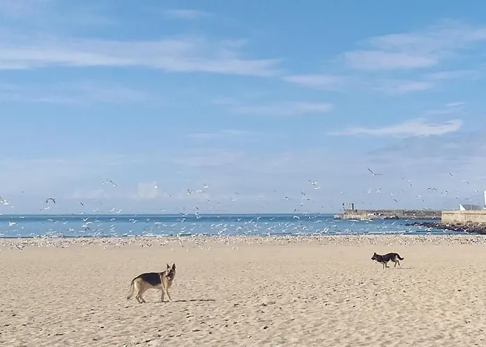 Maria Do Mar_as Tres Marias Matosinhos (Porto)